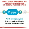 Royal Canin Golden Retriever Puppy sausā barība suņiem, 12 kg