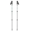 Nūjošanas nūjas VIKING Kivi 2.0 Trekking Green UNI