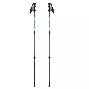 Nūjošanas nūjas VIKING Kivi 2.0 Trekking Green UNI