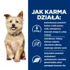 HILL'S Prescription Diet Kidney Care k/d Vistas sautējums - mitrā suņu barība - 400g