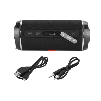 BLOW BT460 Pārnēsājams stereo skaļrunis Melns, Sudrabs 10 W