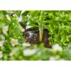 Gardena 13312-20 Produkts 2 L Melns