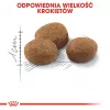 ROYAL CANIN Sterilised 7+ sausā barība kaķiem 10 kg