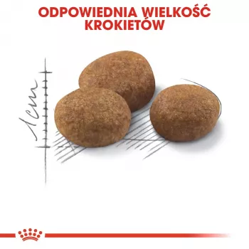 ROYAL CANIN Sterilised 7+ sausā barība kaķiem 10 kg