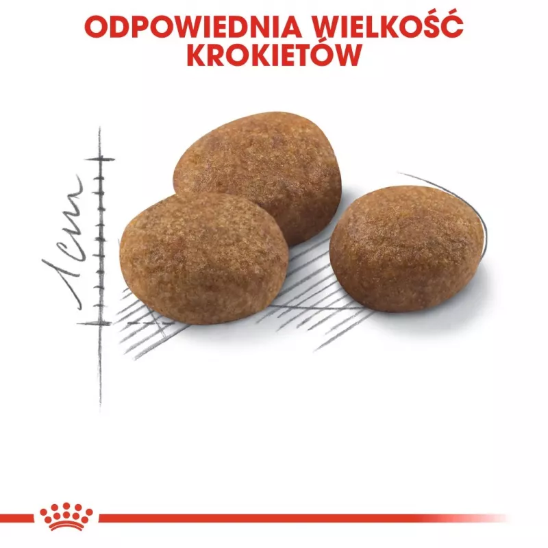 ROYAL CANIN Sterilised 7+ sausā barība kaķiem 10 kg