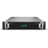 HPE ProLiant DL385 G11 9124 64G 8SFF P77245-425 serveris