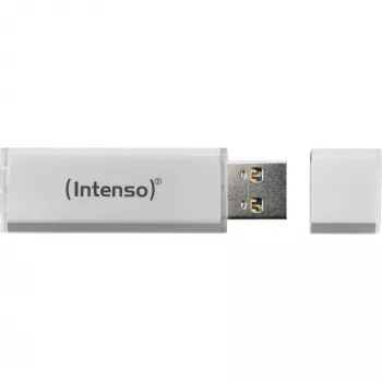 USB zibatmiņa Intenso 256 GB USB Type-A 3.2 Gen 1 Sudraba