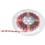 LED lente EUROLITE 50530136, 5 m, 5050 SMD RGB, 12 V