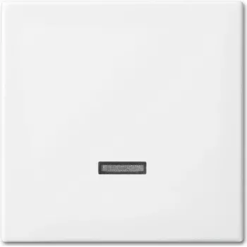 Busch-Jaeger 6543-914-102 Segplāksne sensora turētājam un ligzdai, balta (2CKA006599A3018)