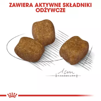 Sausā suņu barība Royal Canin Mini Dental Care 3 kg — pieaugušām mazām šķirnēm, mājputnu gaļa, zobu kopšana