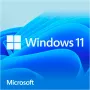 Microsoft Windows 11 Home 64-Bit vācu valodā USB zibatmiņa
