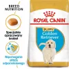 Royal Canin Golden Retriever Puppy sausā barība suņiem, 12 kg