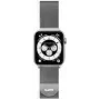 Laut International Tērauda cilpas aproce pulkstenim 42/44 mm Sudraba