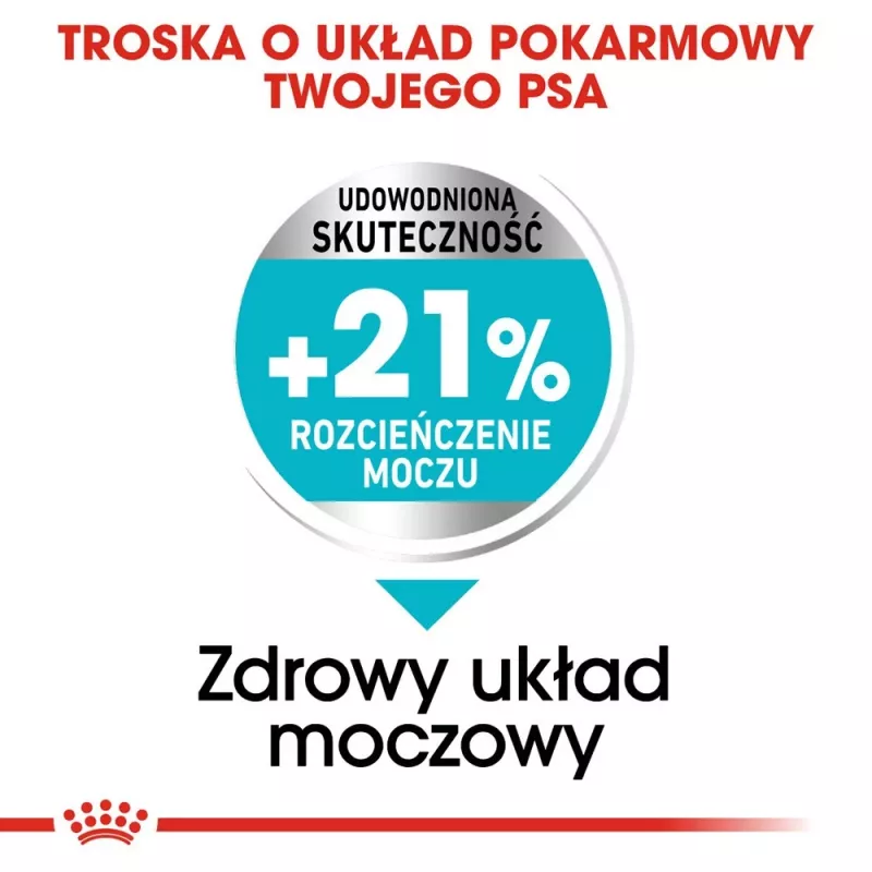 Royal Canin Mini Urinary Care CCN sausā suņu barība, 3 kg