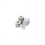 Zebra 3006296 Printer balts