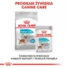Royal Canin Mini Urinary Care sausā suņu barība, 1 kg