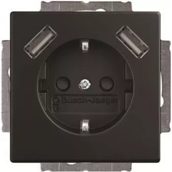 Busch-Jaeger BJ 20 EUCB2USB-885 SCHUKO kontaktligzda ar 2x USB (2CKA002011A6279)