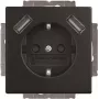 Busch-Jaeger BJ 20 EUCB2USB-885 SCHUKO kontaktligzda ar 2x USB (2CKA002011A6279)