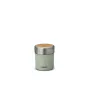 Thermos Preppen Vakuuma Krūze 700 Piparmētra