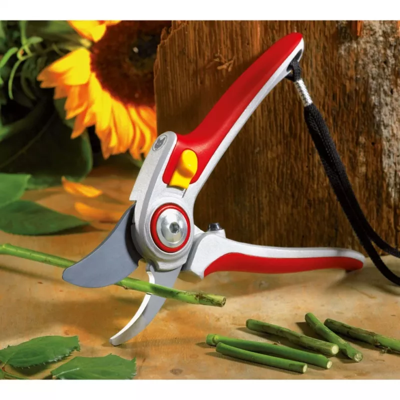 Zāles pļāvējs WOLF-Garten RR 5000 ALU-PROFESSIONAL