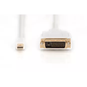 Kabelis DisplayPort 1.1a mini DP-DVI vīriešu MM 2.0m