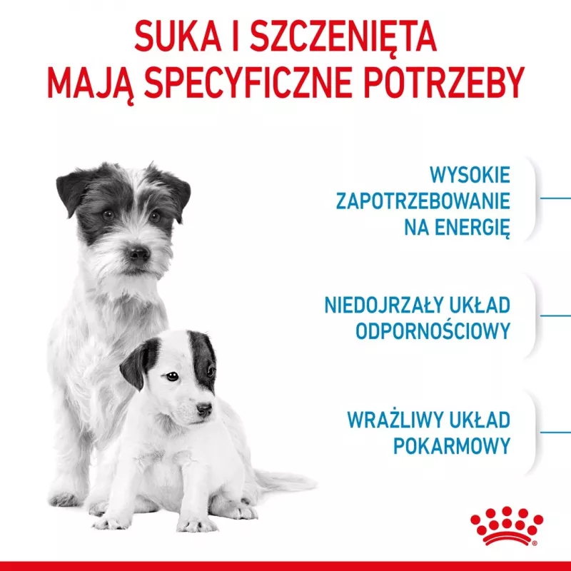 Sausā suņu barība Royal Canin Starter Mother & Babydog 1 kg — vistas gaļa, 30% olbaltumvielas, 22% tauki