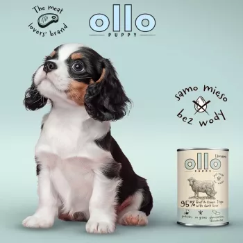 OLLO Puppy Umami liellopu gaļa un zaļais kuņģis ar pīles aknām - slapjā suņu barība - 400g
