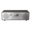 Radio atskaņotājs Panasonic RF-D100BTEGT