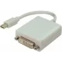 Mini DisplayPort/DVI kabelis ShiverPeaks balts