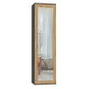 Skapis DUO SZAFA ANT/ART KP — 1 durvis, 2 plaukti, 500×350×1800 mm