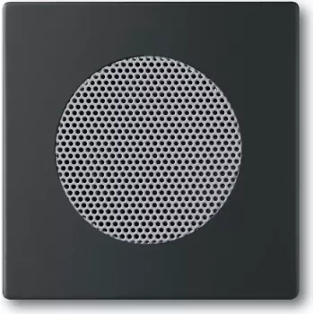 Sienas plāksne / slēdža pārsegs Busch-Jaeger 8200-0-0126 — melns, klasisks dizains, 63×63 mm