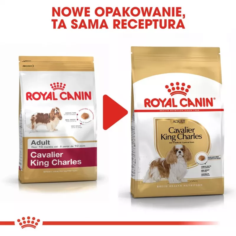 Sausā suņu barība Royal Canin Cavalier King Charles Adult 1.5 kg — Vistas gaļa, mazo šķirņu, ādai un kažokam, sirds atbalstam