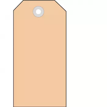 Piegādes birkas HERMA 6012 35x60 mm ar plastmasas cilpām