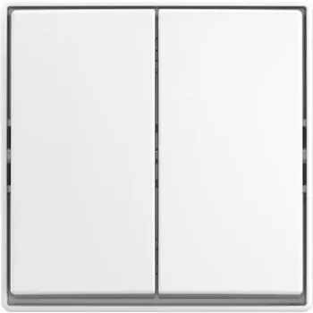 BUSCH JAEGER Slēdzis AP 2601/5 J-524 (2TKA00005523)