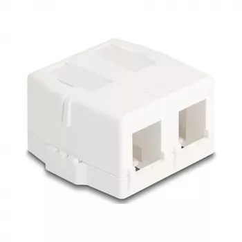 Delock 85843 Keystone tukšs korpuss, 2 portu, ar magnētisko pamatni, balts