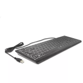DeLOCK 12170 Tastatūra universāla USB QWERTZ vācu Melna mehāniska RGB
