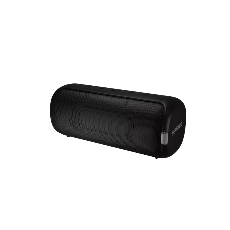 Pārnēsājams Bluetooth skaļrunis Audictus Aurora Pro 20 W