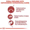 Royal Canin Feline Fit 2kg sausā barība kaķiem Pieaugušajiem