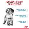 Royal Canin Medium Puppy sausā barība kucēniem 4 kg, kukurūza, putnu gaļa