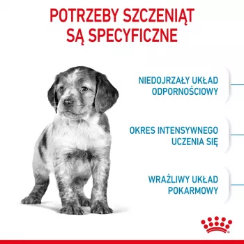 Sausā suņu barība Royal Canin Medium Puppy 4 kg