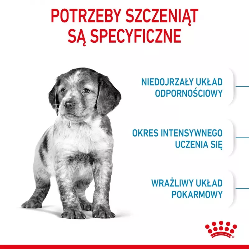 Royal Canin Medium Puppy sausā barība kucēniem 4 kg, kukurūza, putnu gaļa