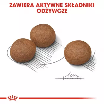 ROYAL CANIN CCN Medium Digestive Care - sausā suņu barība - 3 kg