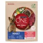 Purina One Mini Adult sausā barība suņiem ar liellopa gaļu un rīsiem, 800 g