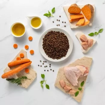 Sausā suņu barība VETEXPERT RAW PALEO Ultra Mini Puppy Turkey 2 kg
