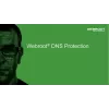 Webroot DNS Protection ar GSM Console | 2 gadi | Licence 1-9 lietotājiem