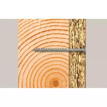Skrūve Fischer 670408 100 mm