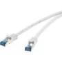 Tīkla kabelis Renkforce RJ45 CAT 6a S/FTP 0,25 m Pelēks