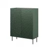 Plaukts ONDA 2D2S 98×45×127 cm zaļš, grīdas sienas skapis