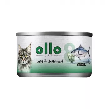 Ollo Tuncis ar Jūraszālēm Buljonā Nr.8 70g