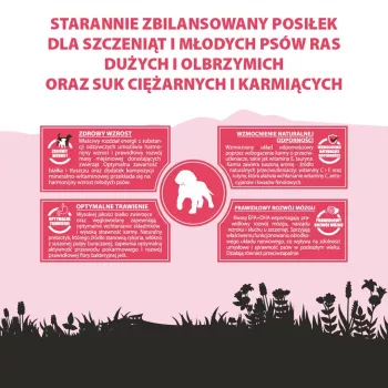 PUPIL Premium Junior Lielām un īpaši lielām šķirnēm Bagāts ar liellopu gaļu - sausa suņu barība - 12kg